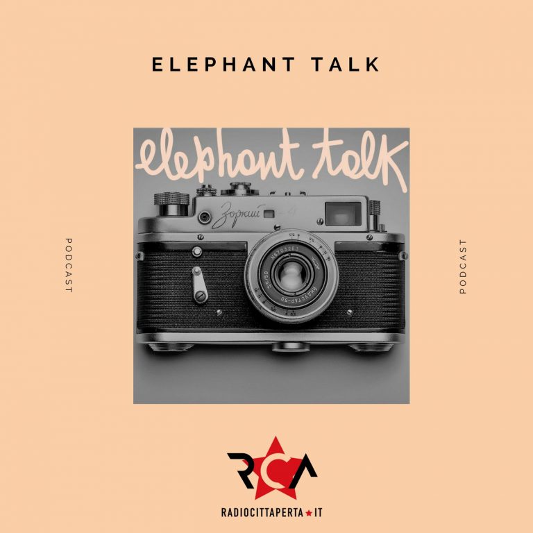 ELEPHANT TALK con FEDERICA