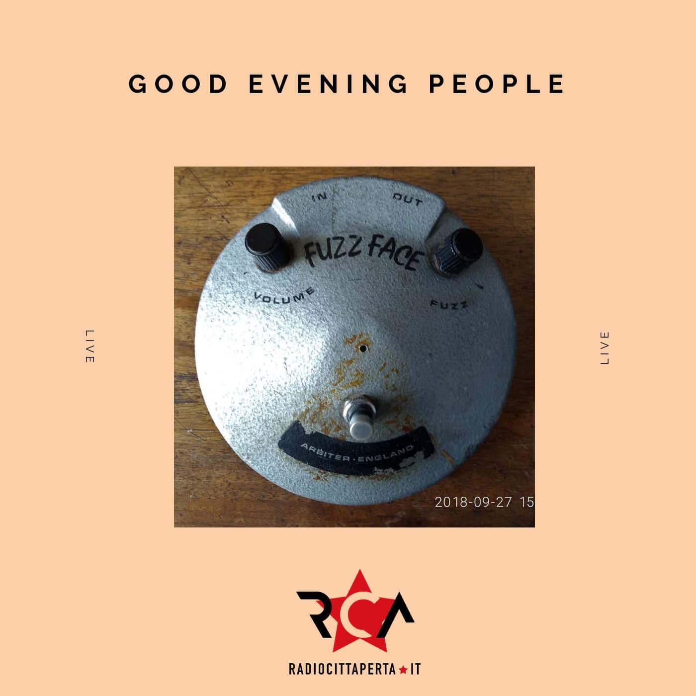 fuzz face logo