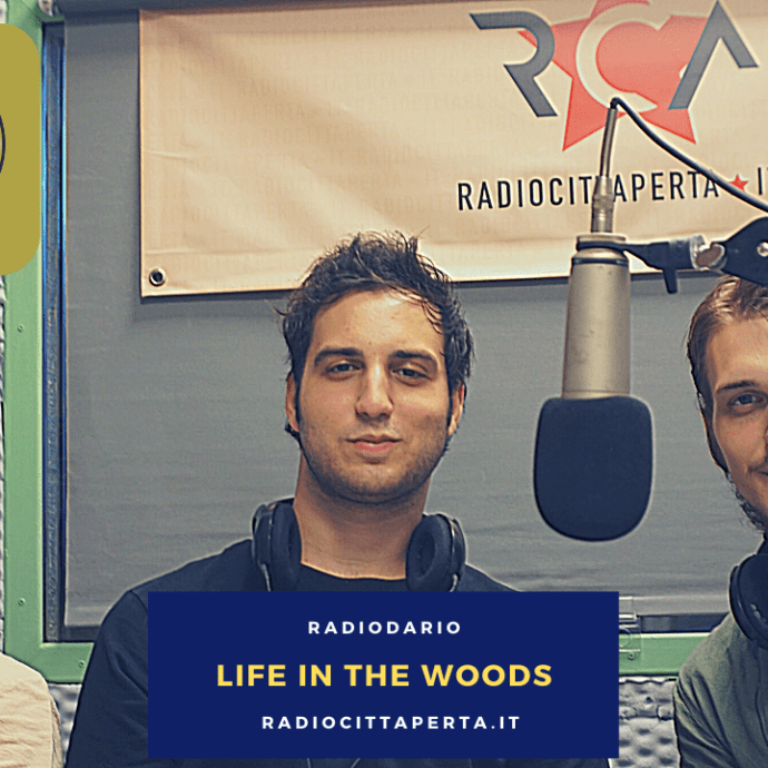 Podcast RadioDario LIFE IN THE WOODS 2