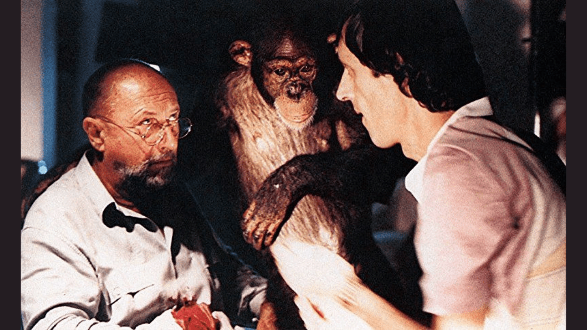 Musiche Dei Film Di Dario Argento