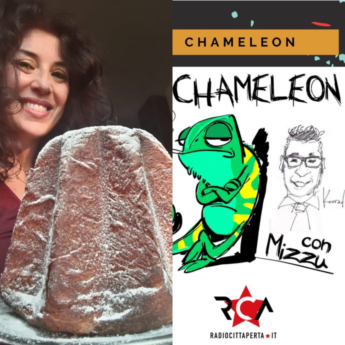 chameleon pierella