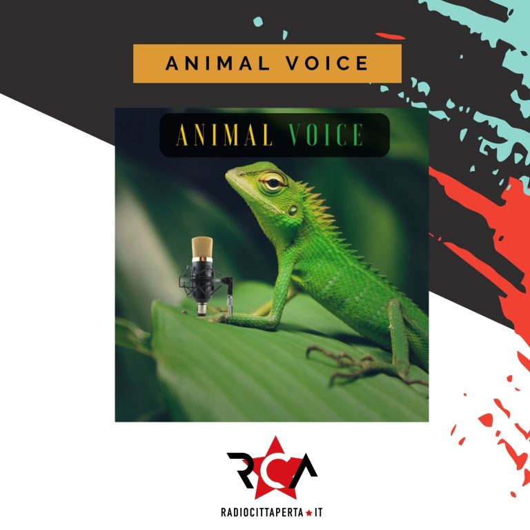 ANIMAL-VOICE-img-evidenza