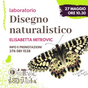 laboratorio-disegno-naturalistico