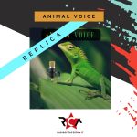 ANIMAL VOICE-replica evidenza