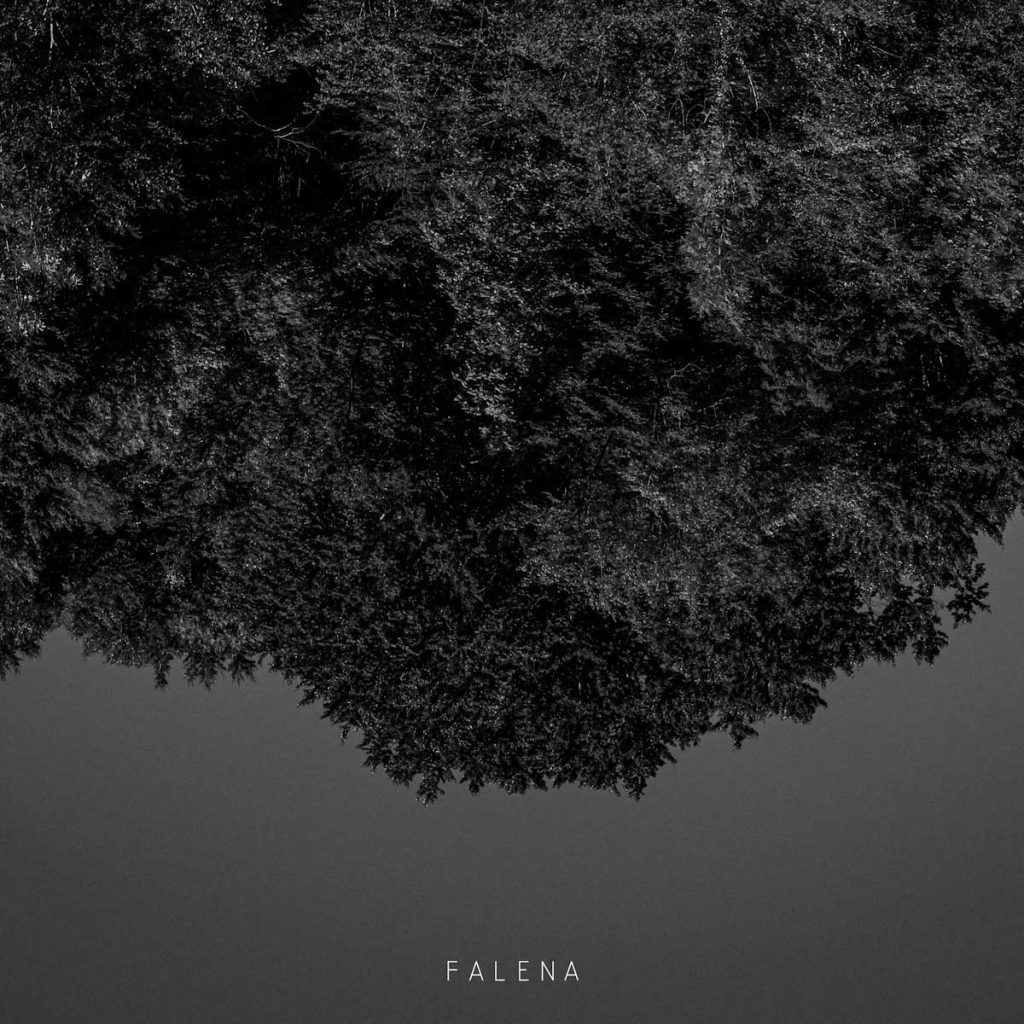 Copertina-Falena