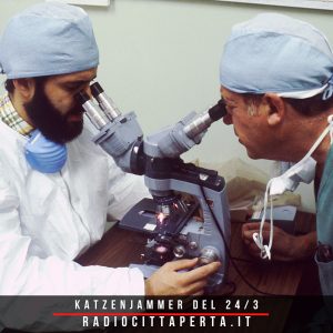 katzenjammer-featured-medici-24-3-25