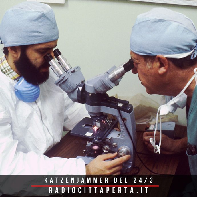 katzenjammer-featured-medici-24-3-25