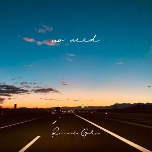 Riccardo Gileno_No need