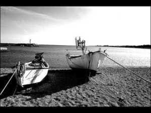 Estate_Capossela