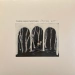 these new puritans