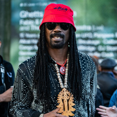general levy