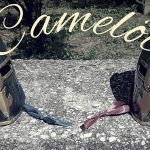 camelot-open-406
