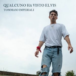 Qualcuno ha visto Elvis_cover