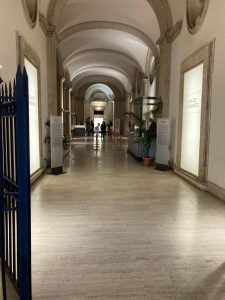 WhatsApp Image 2025-11-21 at 17.25.07 (1)