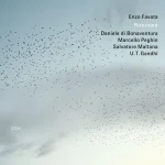 Favata Cover