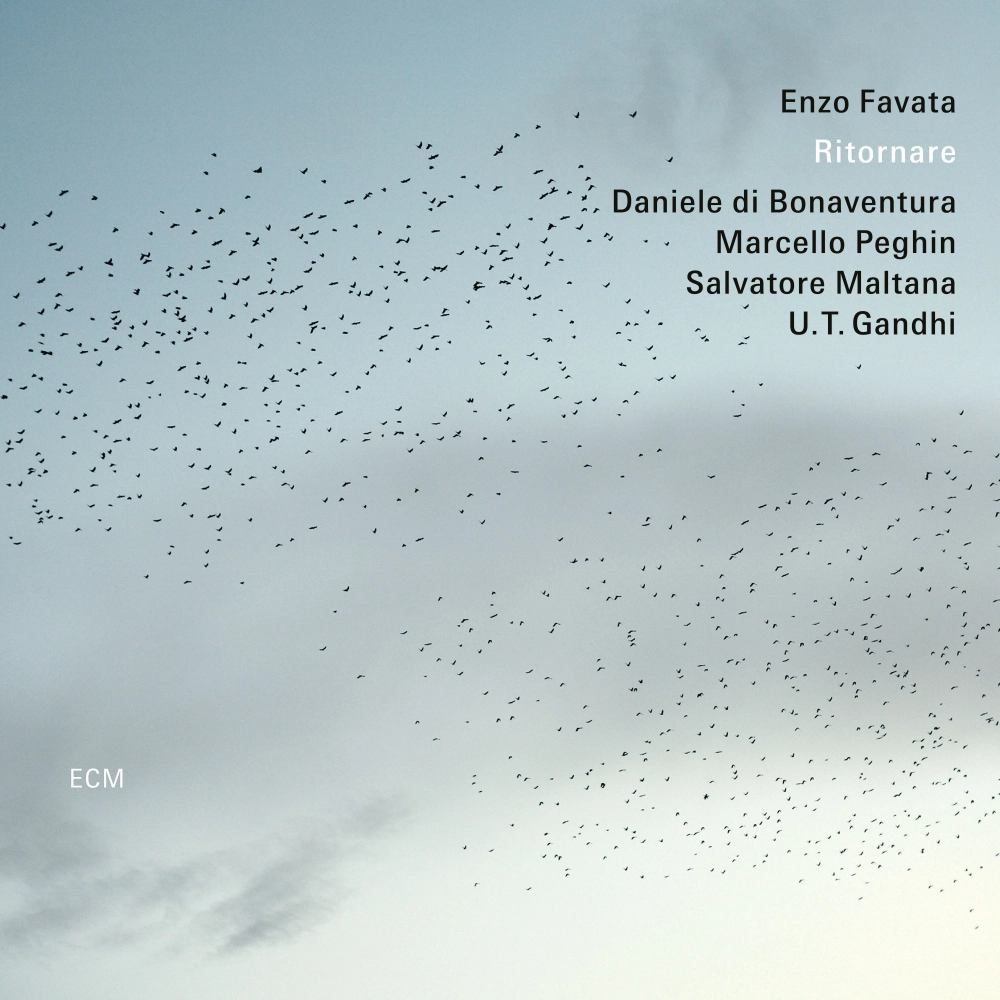 Favata Cover