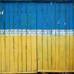 tina-hartung-IwLY-pLic_U-unsplash