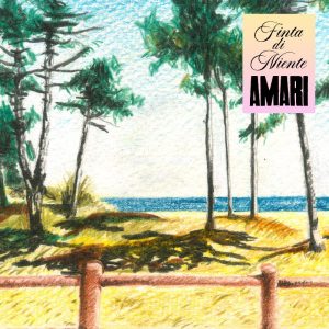 Amari_Finta di niente