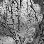 IMG_20180320_203018