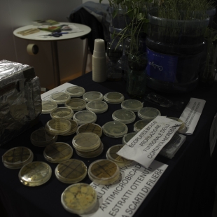 ENEA. Maker Faire 2025