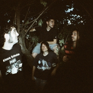 NEWT OSPITI A MELTINGPOT