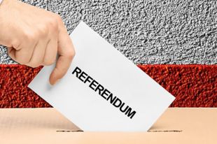 Referendum abrogativi: i cinque quesiti, i proponenti, i significati e le posizioni politiche