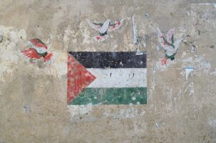 L’Iniziativa dei Cittadini Europei per sospendere l’Accordo di Associazione UE-Israele raggiunge un milione di firme