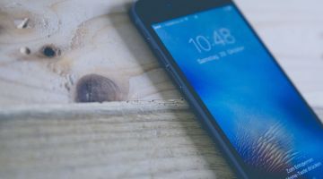 Speciale sui telefonini, KATZENJAMMER