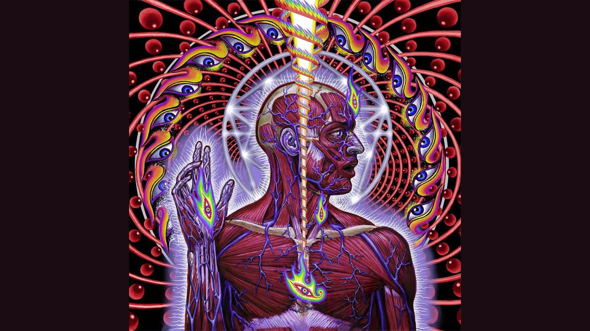 Tool: “Lateralus” e la sequenza di Fibonacci