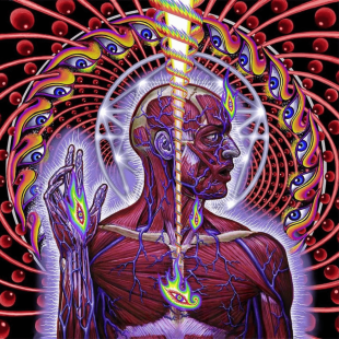 Tool: “Lateralus” e la sequenza di Fibonacci
