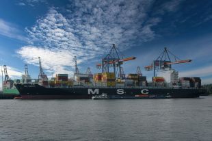 Il commercio con le colonie israeliane che passa per MSC e Ravenna