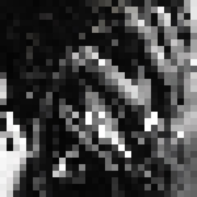 CHAMELEON con DOMENICO MIZZU