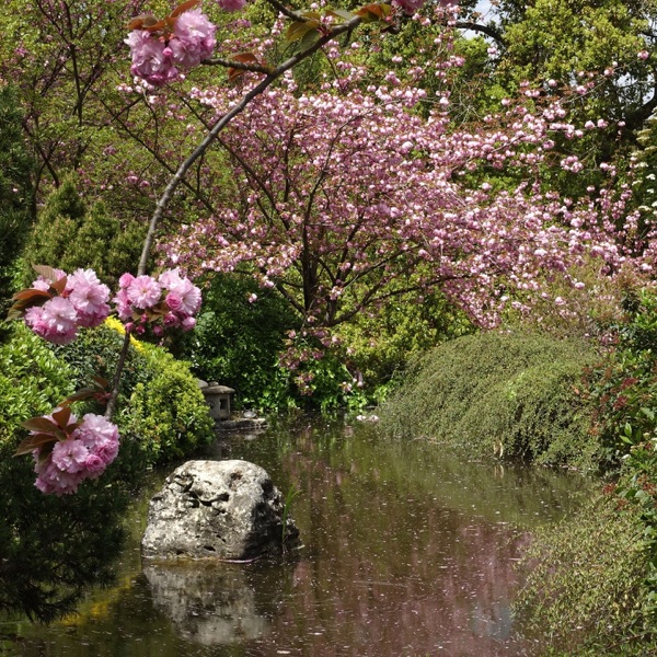 ALTERNITALIA con GIANLUCA POLVERARI