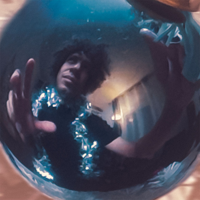 CHAMELEON con DOMENICO MIZZU