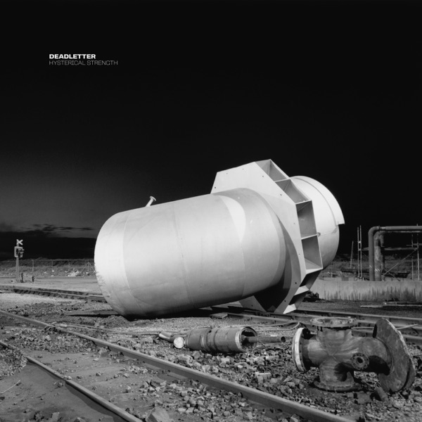 PUZZLE con GIANLUCA POLVERARI