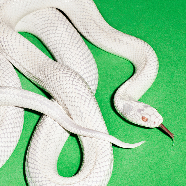 SATURDAY ATOMIC BRUNCH con FABRIZIO FALCIONI