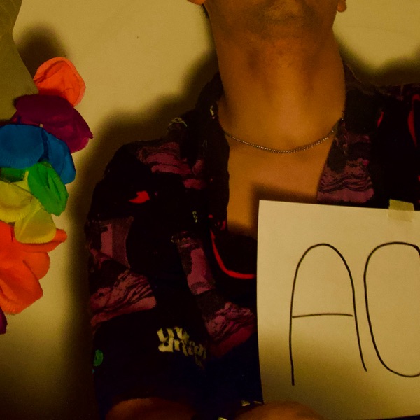 CHAMELEON con DOMENICO MIZZU