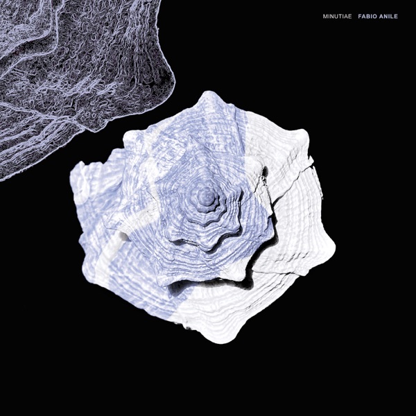 ALTERNITALIA con GIANLUCA POLVERARI