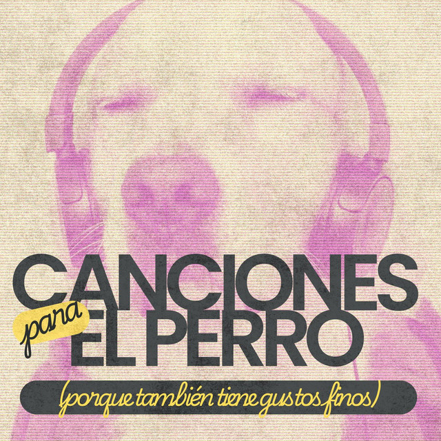 CHAMELEON con DOMENICO MIZZU