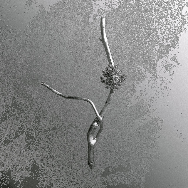 RIFUGIO ATOMICO con FABRIZIO FALCIONI