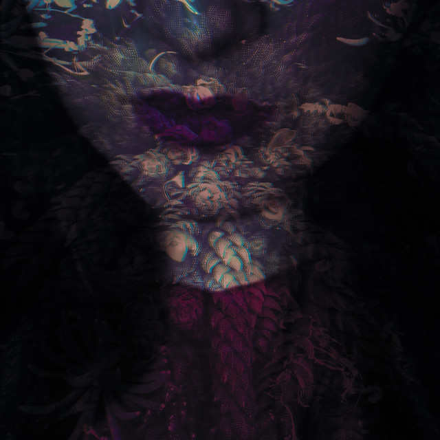 NIGHT TOYS con DARIO PIZZETTI