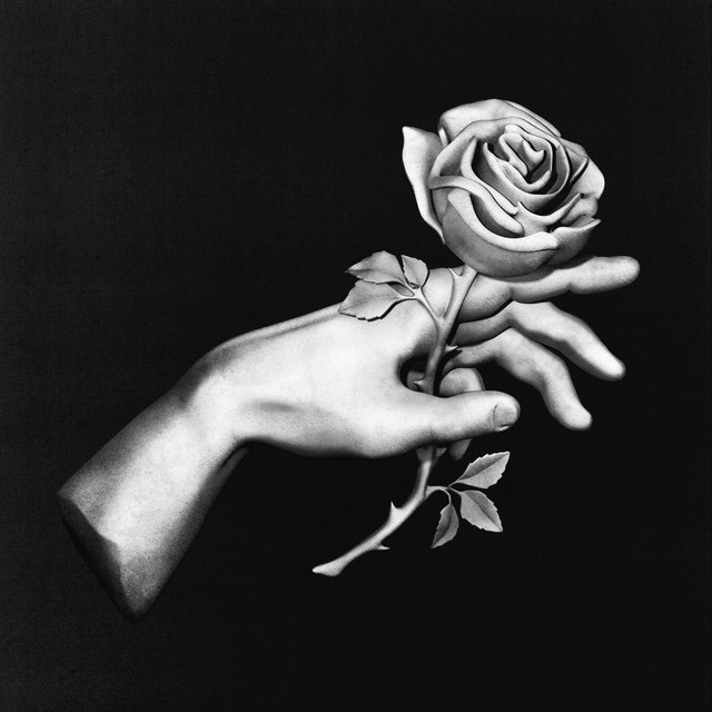 LA BOTTEGA DEL FORNO con FABRIZIO FORNO