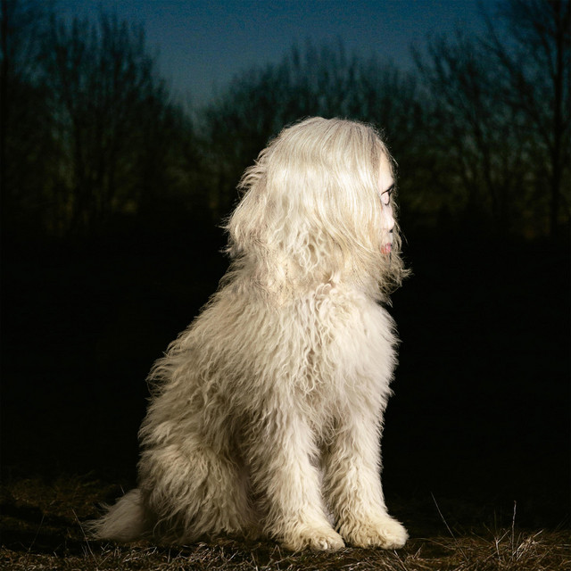 RIFUGIO ATOMICO con FABRIZIO FALCIONI