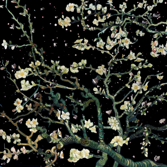 CHAMELEON con DOMENICO MIZZU