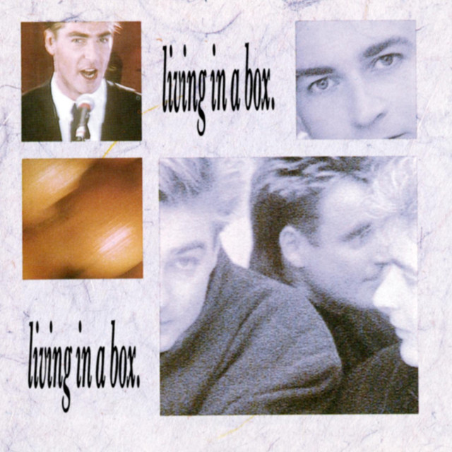 NIGHT TOYS con DARIO PIZZETTI