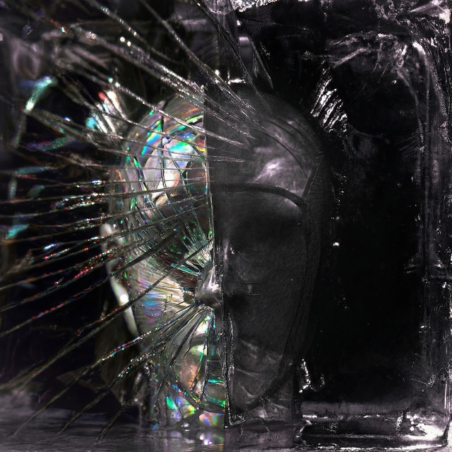 CHAMELEON con DOMENICO MIZZU