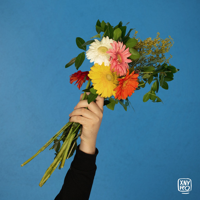 CHAMELEON con DOMENICO MIZZU