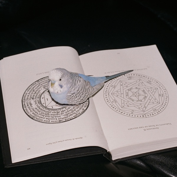 SATURDAY ATOMIC BRUNCH con FABRIZIO FALCIONI