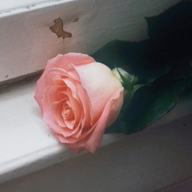 KATZENJAMMER con MIRO BARSA