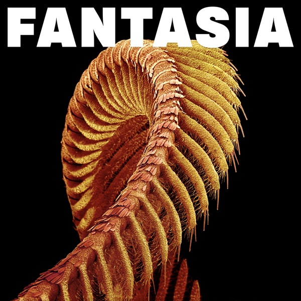 MELTING POT con RICCARDO PURE RANKING